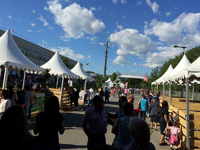 EXPOVEZ 2015 - Feira do Alto Minho | Ambiente