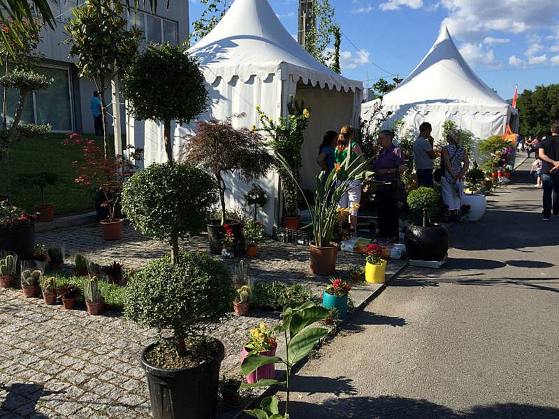 EXPOVEZ 2015 - Feira do Alto Minho | Ambiente