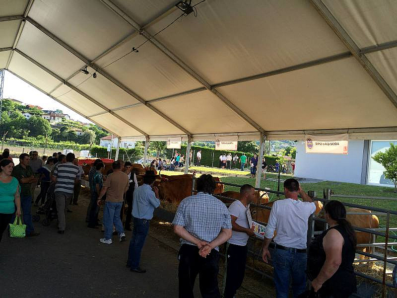 EXPOVEZ 2015 - Feira do Alto Minho | Ambiente