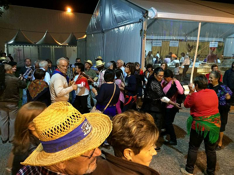 EXPOVEZ 2015 - Feira do Alto Minho | Ambiente