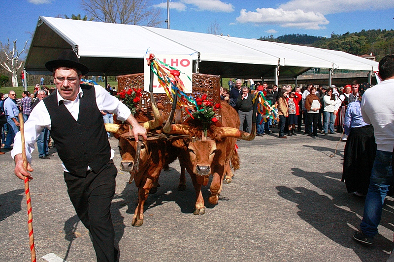 Desfile dos Bois da Páscoa 2015