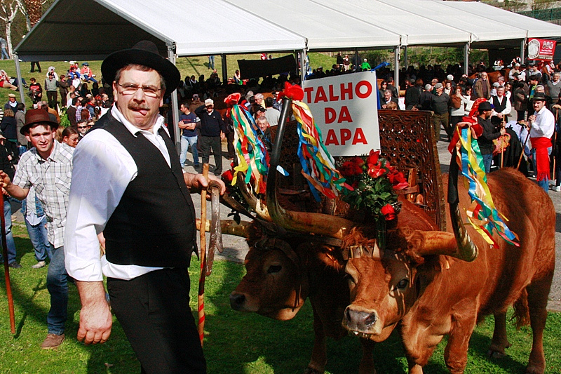 Desfile dos Bois da Páscoa 2015