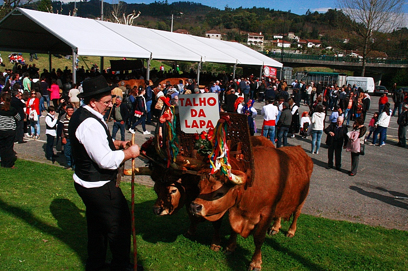 Desfile dos Bois da Páscoa 2015