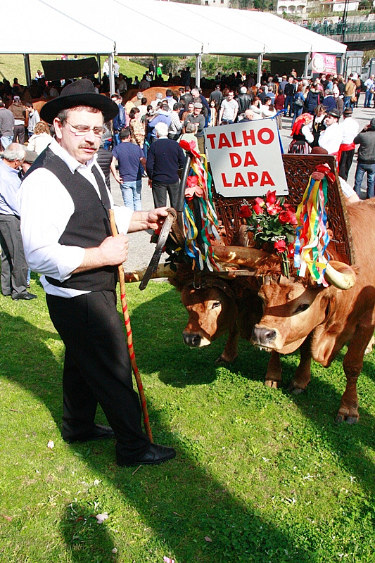 Desfile dos Bois da Páscoa 2015