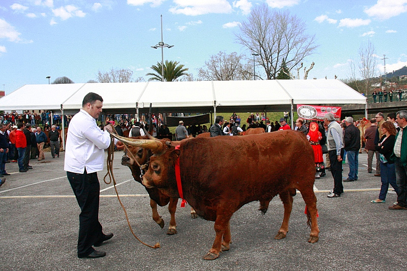 Desfile dos Bois da Páscoa 2015