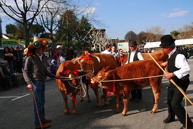 Desfile dos Bois da Páscoa 2015