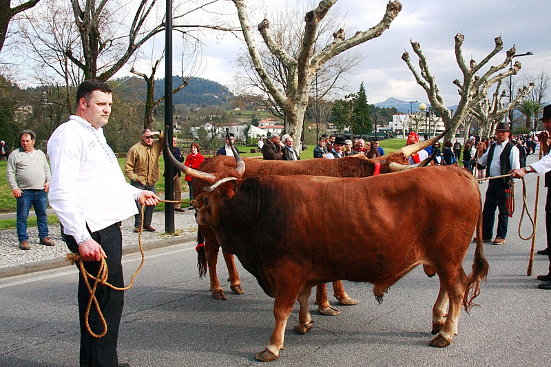 Desfile dos Bois da Páscoa 2015