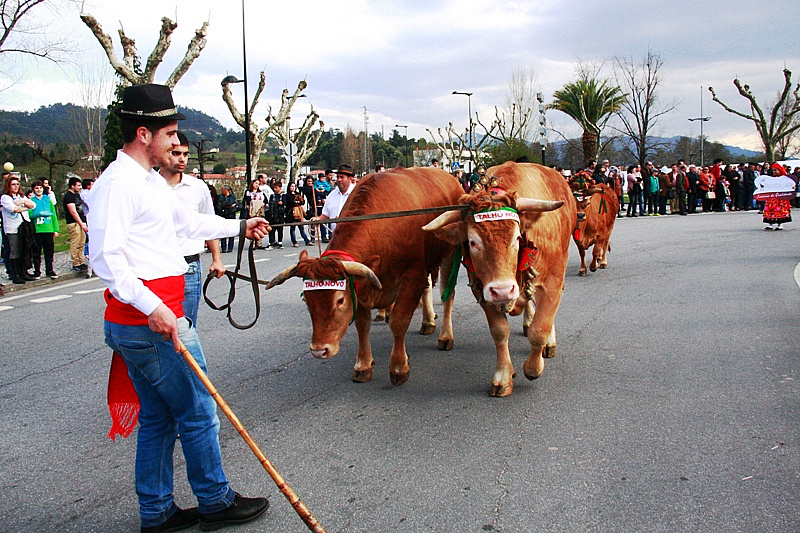 Desfile dos Bois da Páscoa 2015