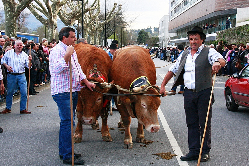 Desfile dos Bois da Páscoa 2015