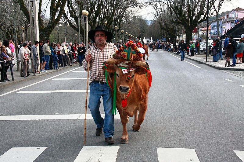 Desfile dos Bois da Páscoa 2015