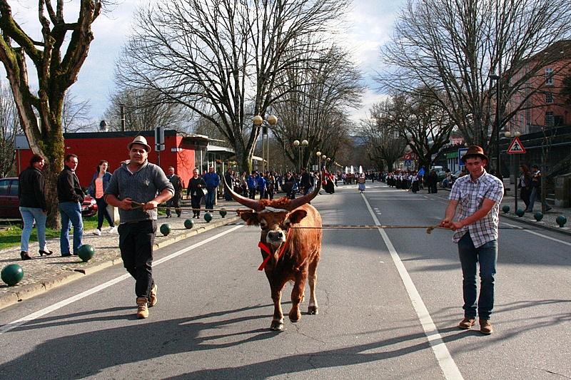 Desfile dos Bois da Páscoa 2015