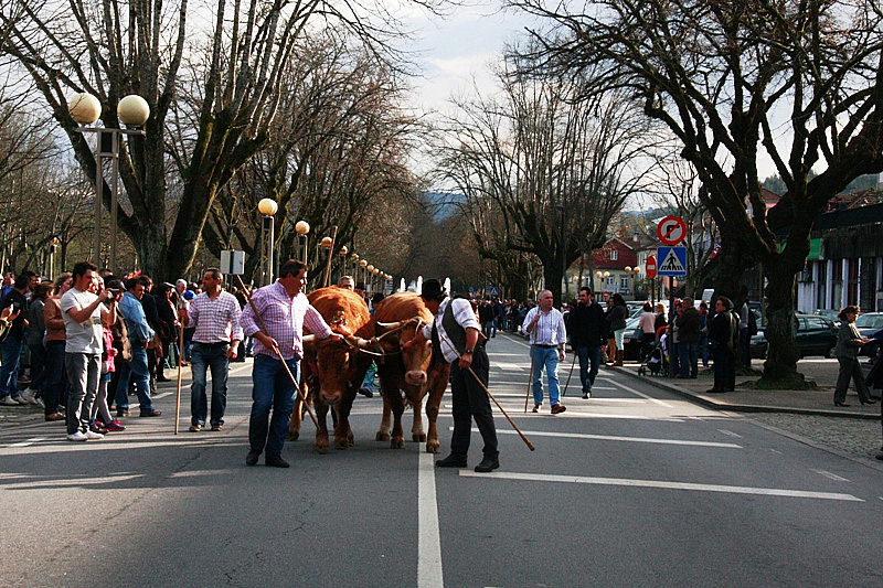 Desfile dos Bois da Páscoa 2015