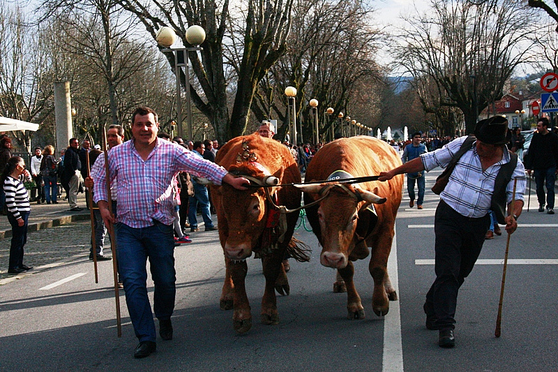 Desfile dos Bois da Páscoa 2015