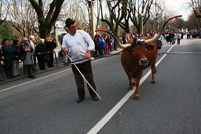 Desfile dos Bois da Páscoa 2015